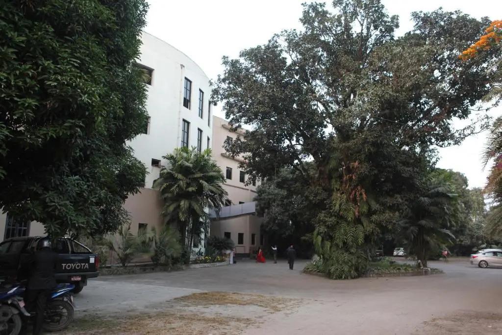 Central Palms Hotel - главное фото