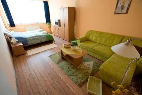 Vasvirág Hotel - главное фото