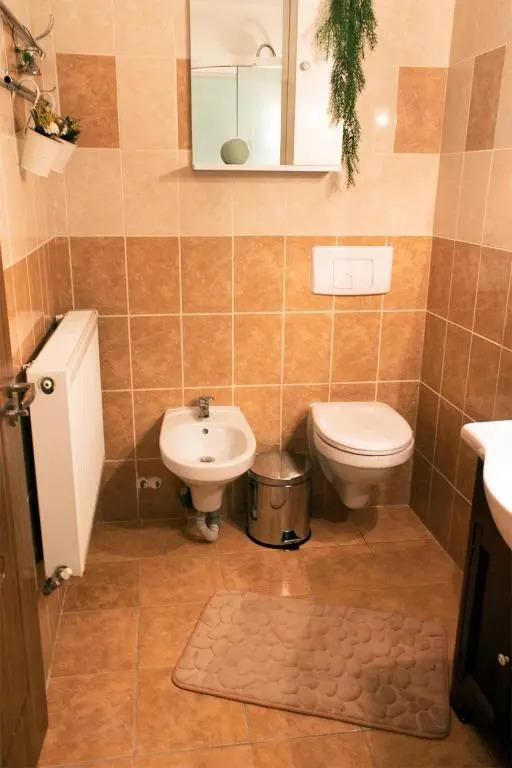 Apartament Mountain Life - главное фото