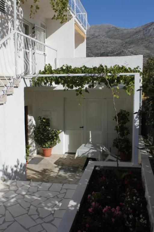 Studio Slano 8599a - главное фото