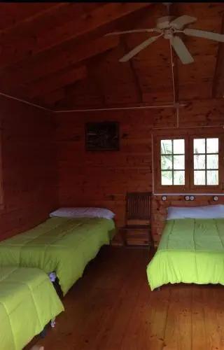 Monintern - главное фото