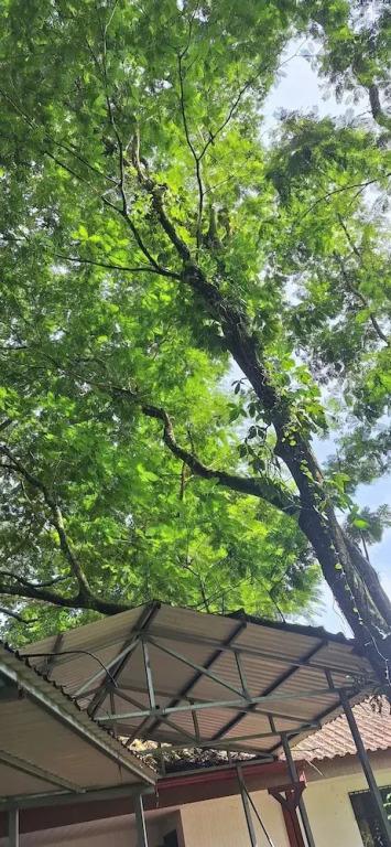 Hotel Sarapiquí - главное фото