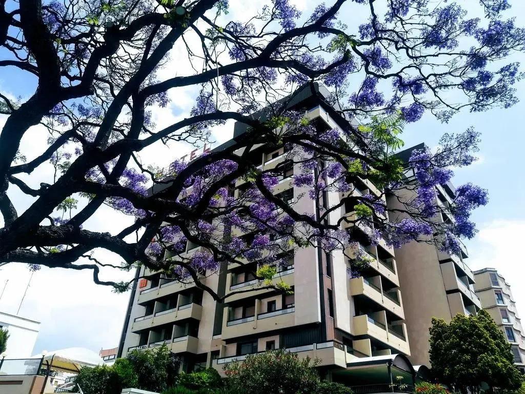 Hotel Panorama - главное фото
