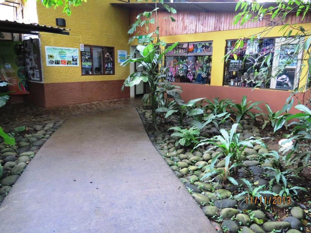 Tirimbina Rainforest Lodge - главное фото