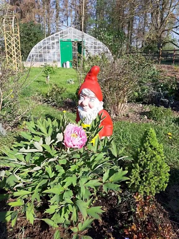 Cosy B&B 2B - главное фото