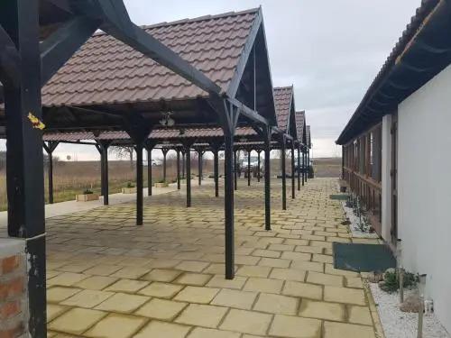 Golden Moments - главное фото