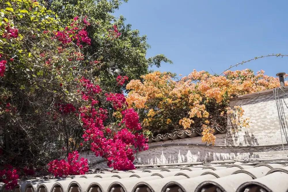 Posada Monterrico Boutique Hotel - главное фото