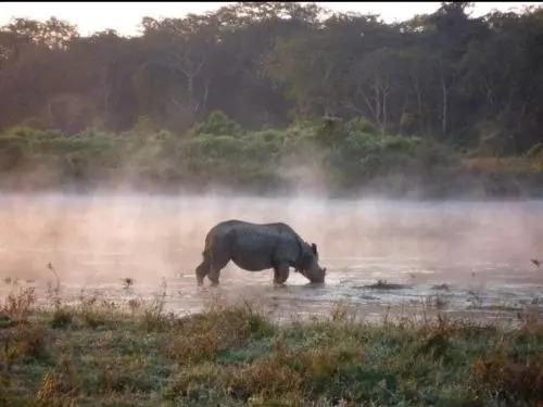Hotel Butterfly - главное фото