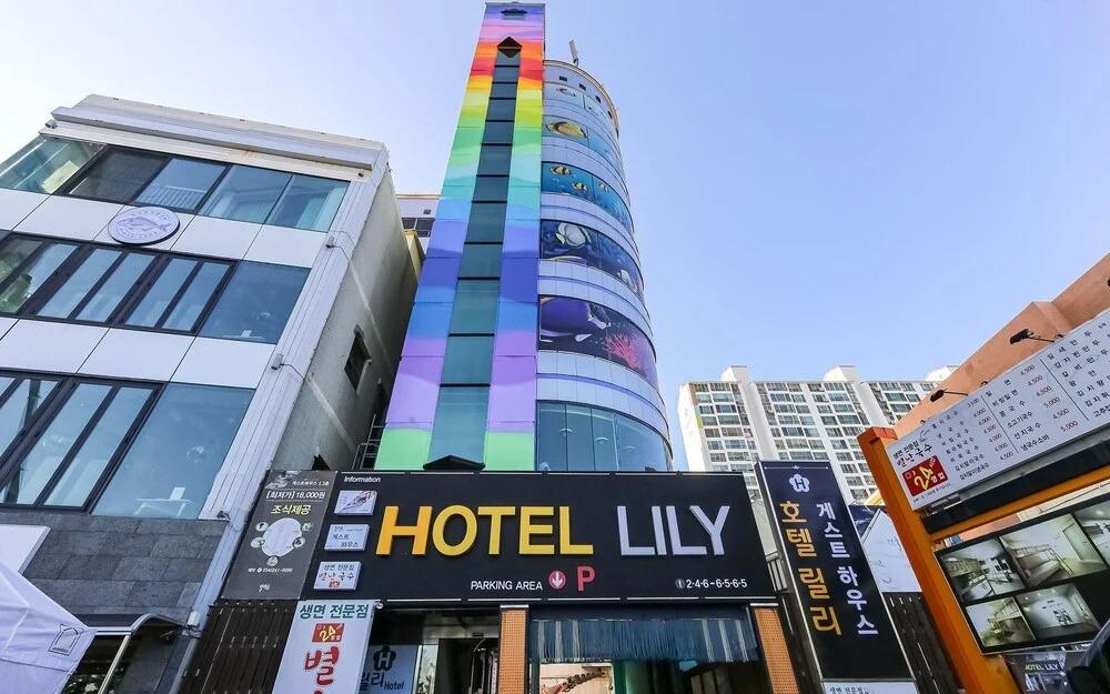 Pohang Yeongildae HOTEL LILY - главное фото