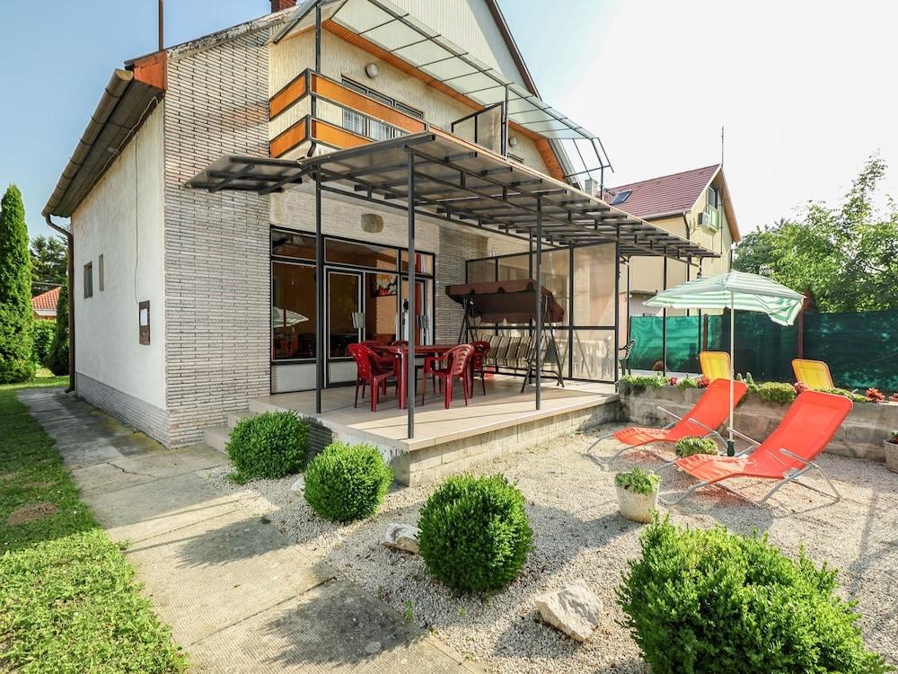 Petunia 1 Fony d in Fony d - главное фото