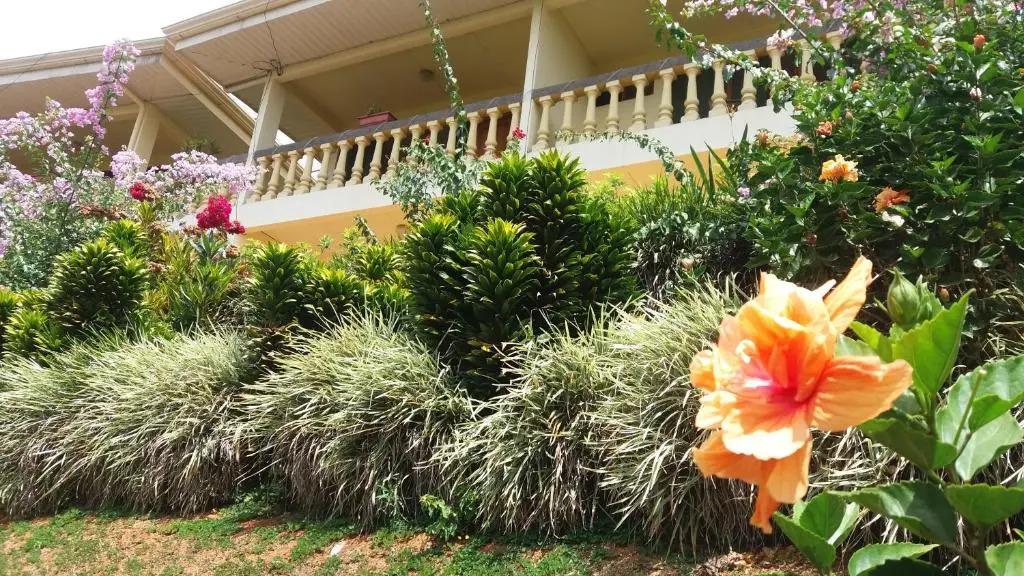 La Princesa Hotel - главное фото