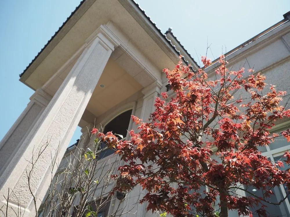 Green Island Guest House - главное фото