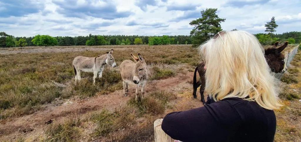 Casa Del Bosque - главное фото