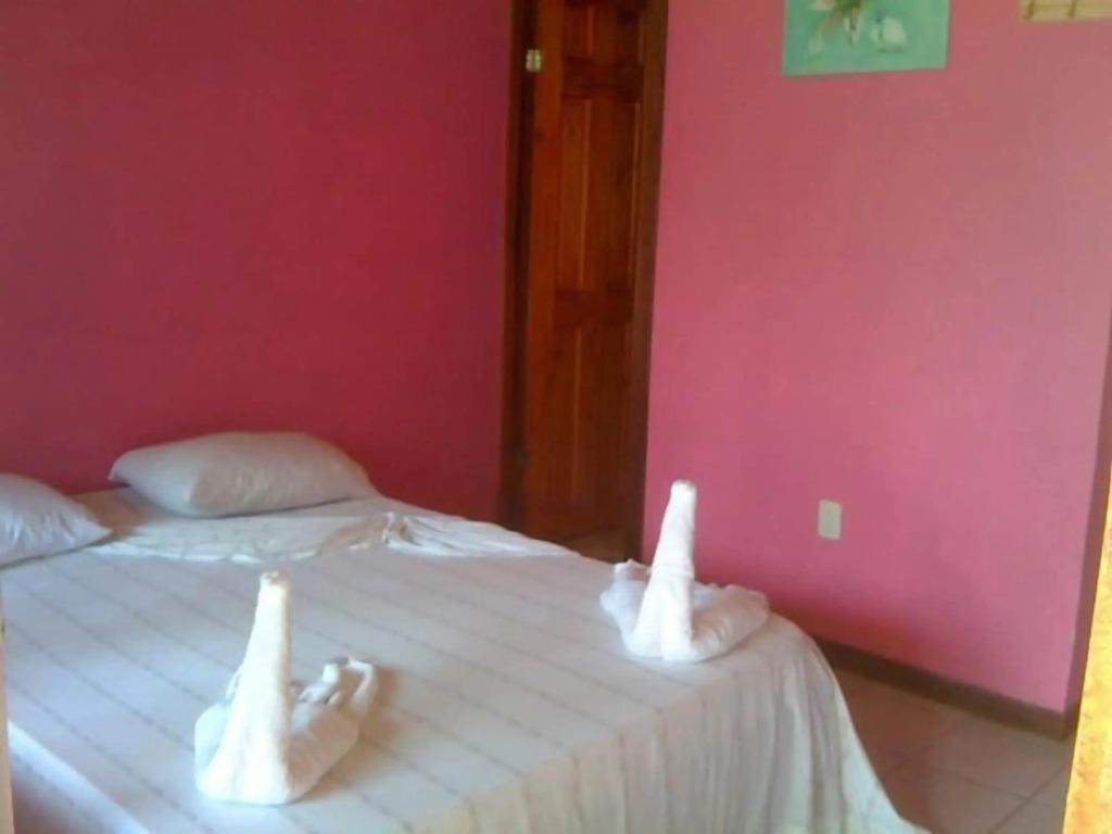 Hotel El Icaco Tortuguero - главное фото