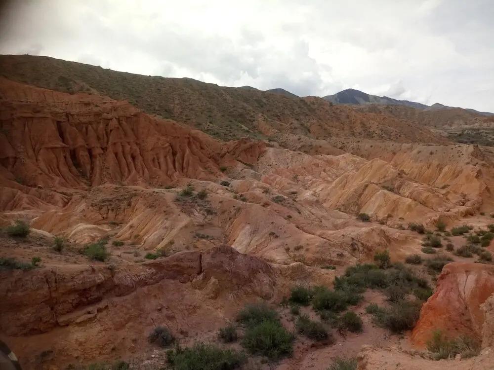 Family club Royal-appricot - главное фото