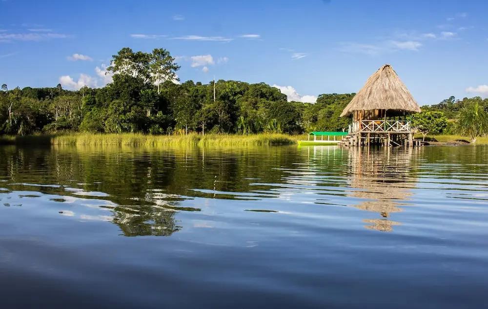 Pukka Shungo - главное фото