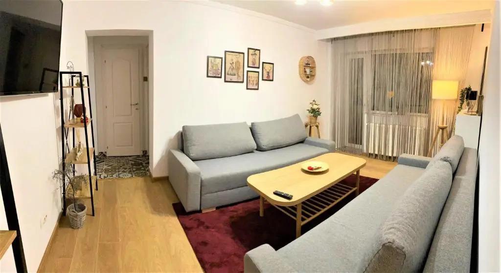 Cosy Apart Busteni - главное фото