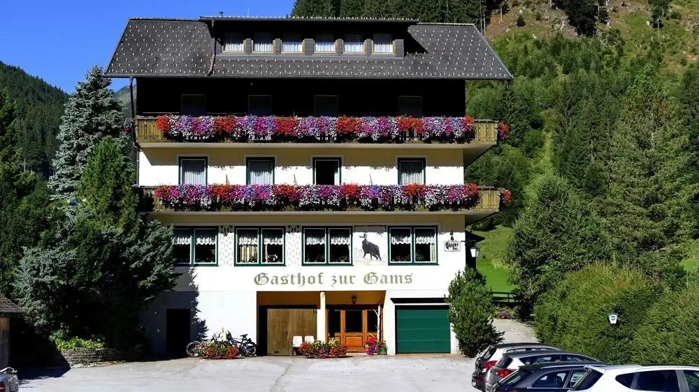 Gasthof Pension Appartements Zur Gams - главное фото