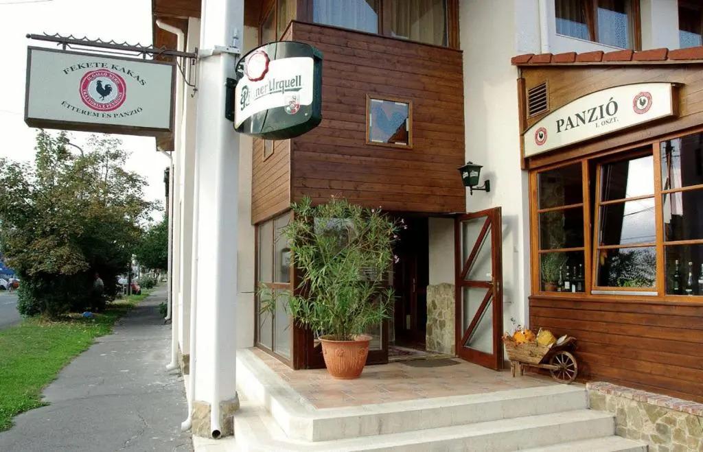 Il Gallo Nero Fekete Kakas tterem s Panzi - главное фото