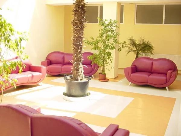 Hotel Bradul - главное фото