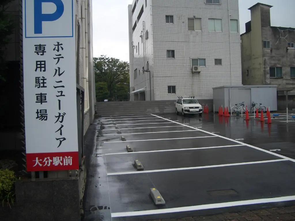 Hotel New Gaea Oitaekimae - главное фото