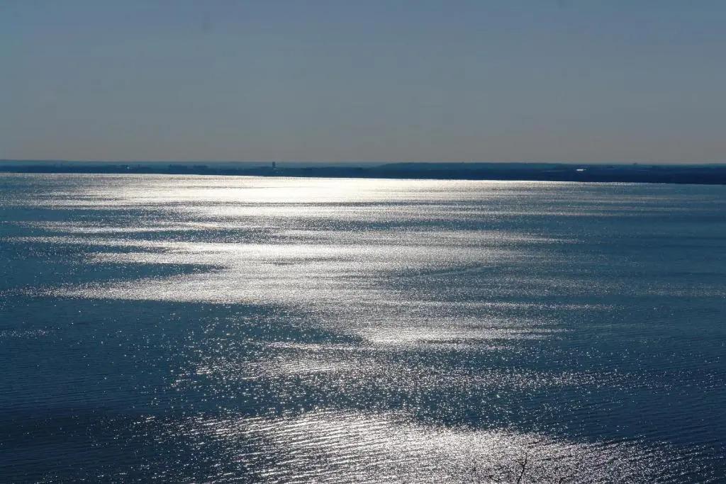 Mézes-Kuckó - главное фото