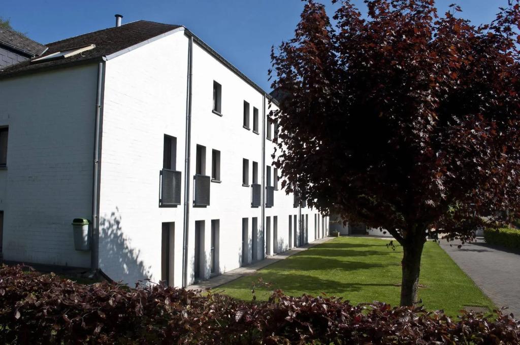 Corsendonk Sol Cress - главное фото