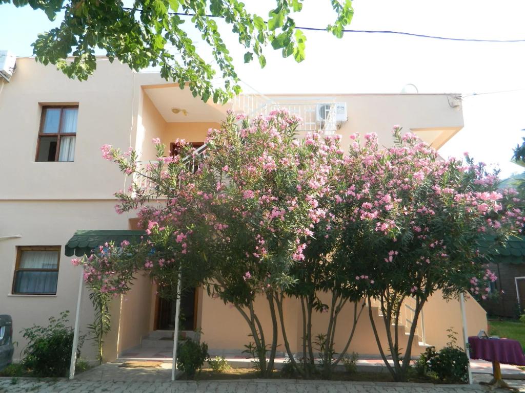 Cirali Olympos Hotel - главное фото