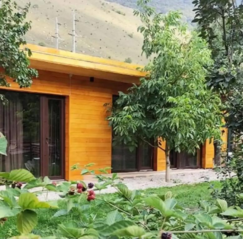 Гостевой дом Фруктовый сад - главное фото