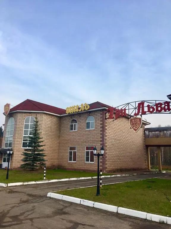 Три Льва - главное фото