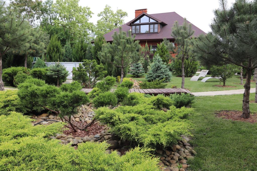 Частный Дом Шале  Pinebrook  Круглогодично Утопающий в Зелени с Сезонным Бассейном, для Семейного Отдыха у Реки Дон - главное фото