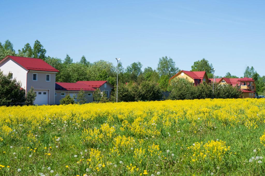 База отдыха Антлер - главное фото