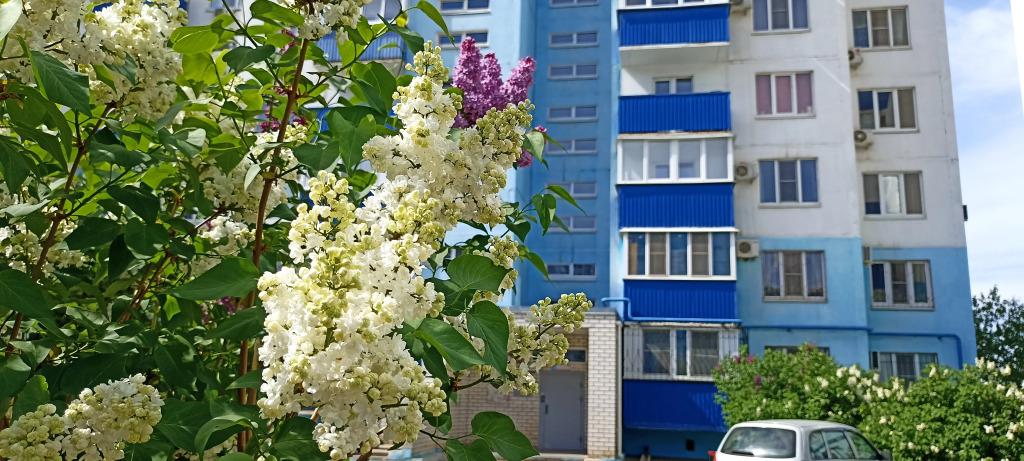 Апартаменты Комфорт и домашний уют 116 - главное фото