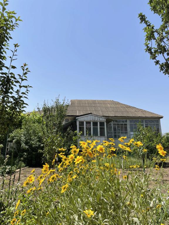 Частный дом в цветущем саду - главное фото