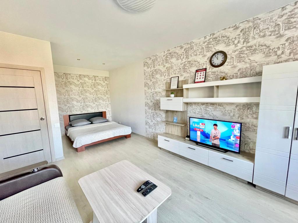 Большая однокомнатная квартира сети "PanApartments" на центральной улице города - главное фото