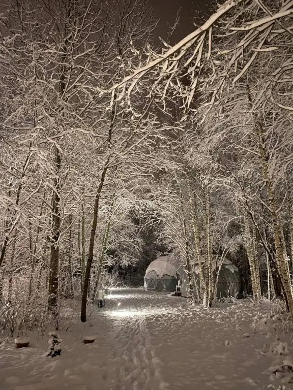 Кемпинг Озеро Ле - главное фото