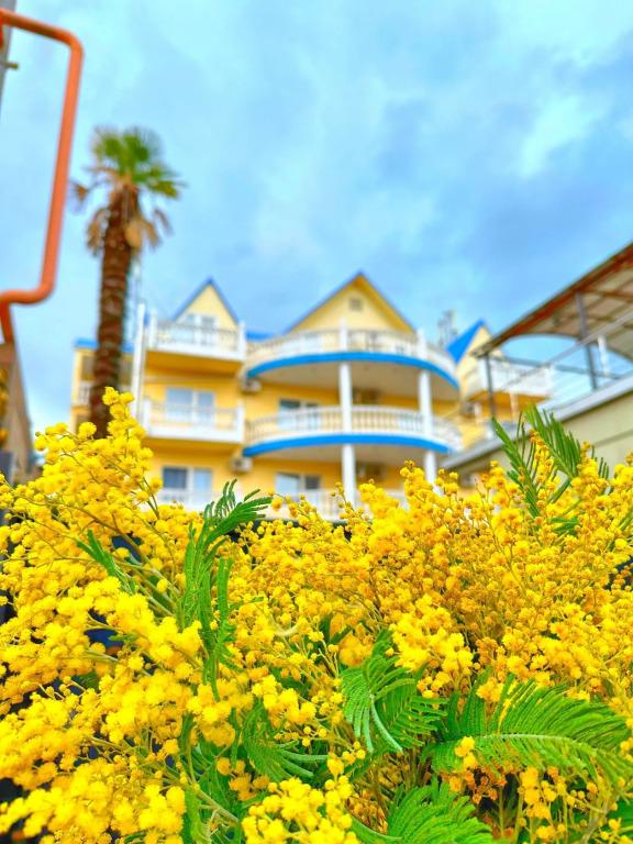 Гостевой Дом Looguna - главное фото