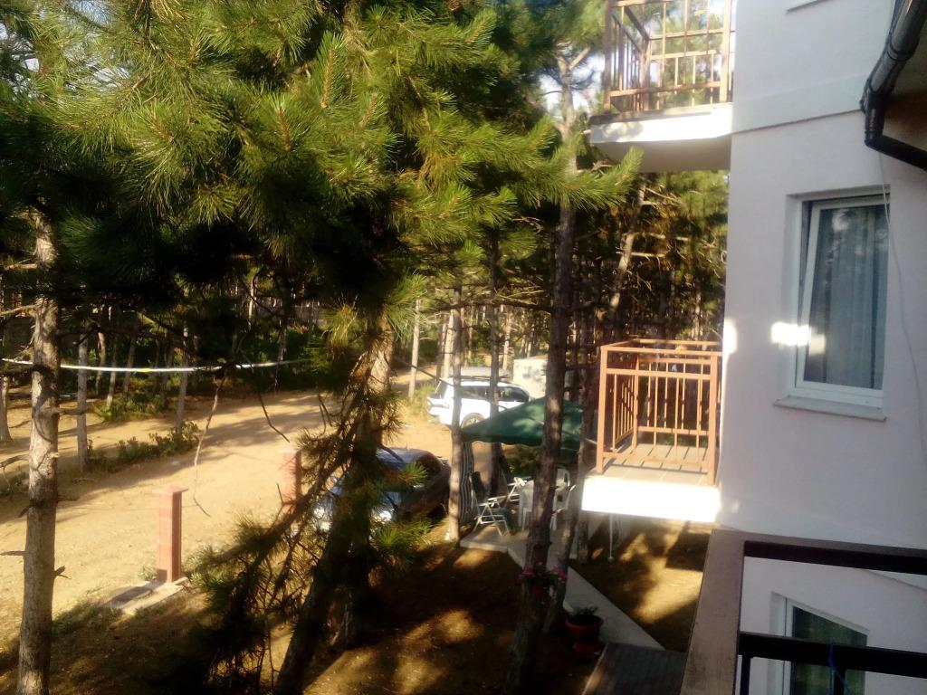 Алексия - главное фото