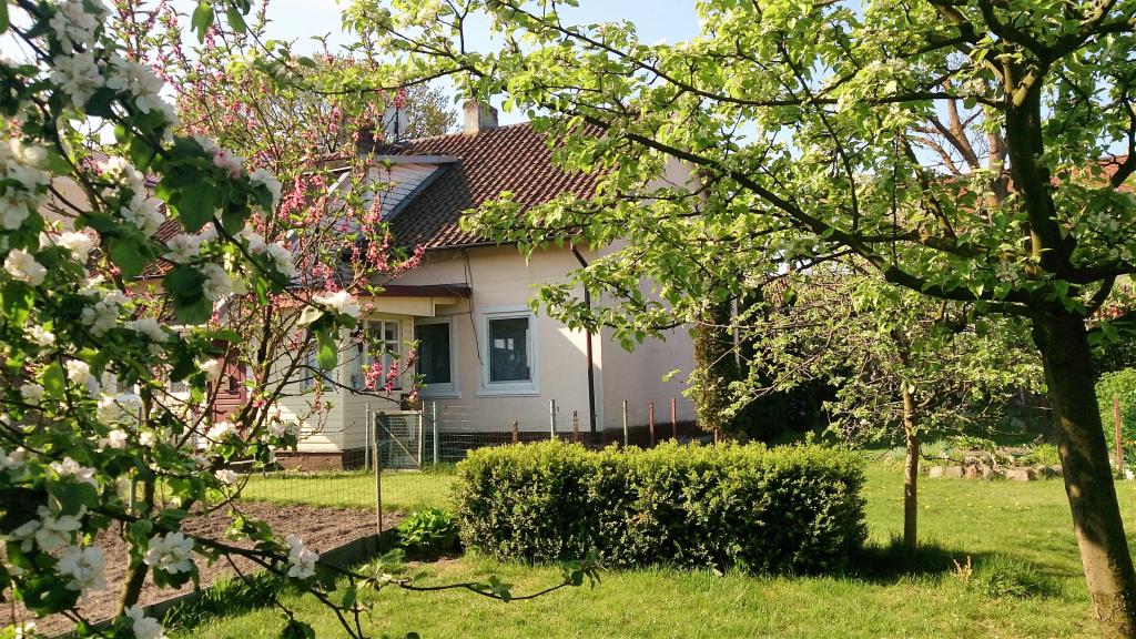 Апартаменты У Рыбного Двора - главное фото