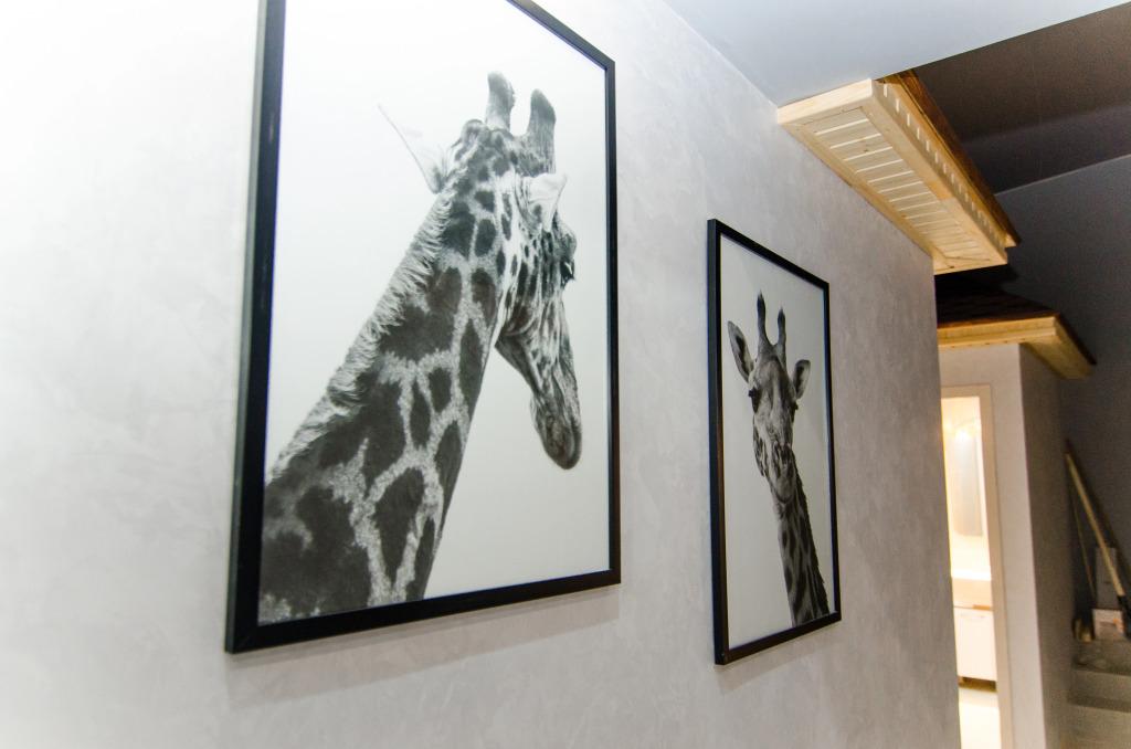 Отель Сафари - главное фото