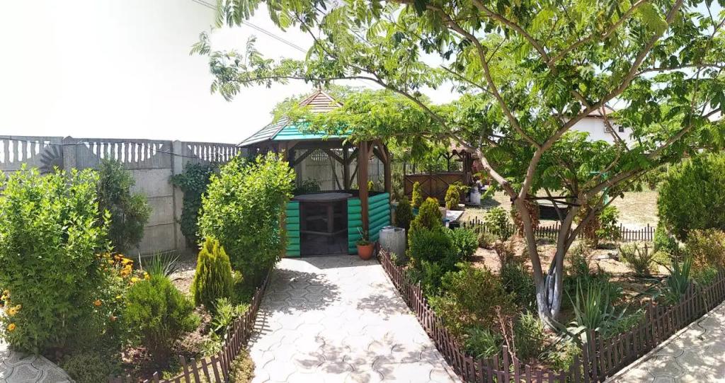 Адмирал - главное фото