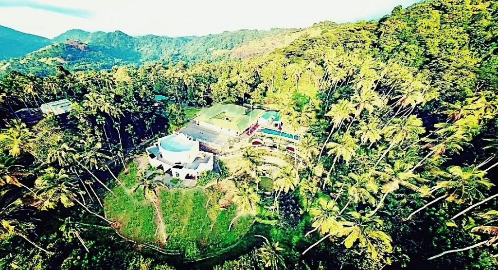 Отель The Flame Tree Estate - главное фото