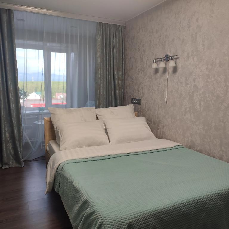 Апартаменты Квартиры посуточно в Елизово - главное фото