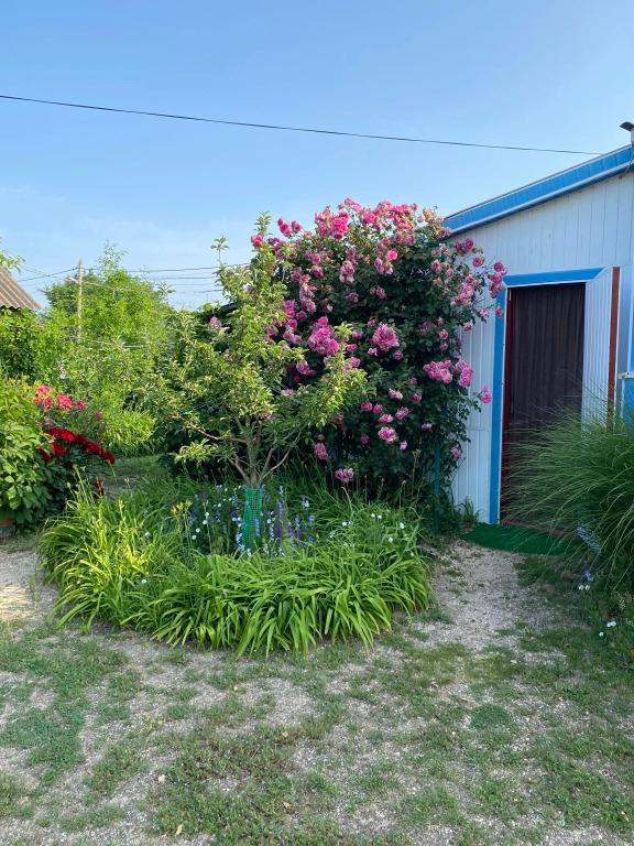 Частный дом 3-х местный 3 - главное фото