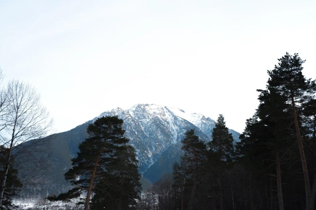 Гостевой дом Горы Горы - главное фото