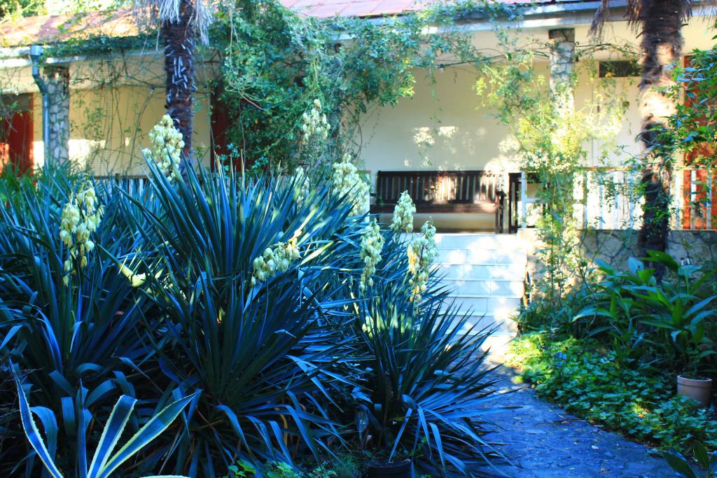 Гостевой дом Летний Дворик - главное фото