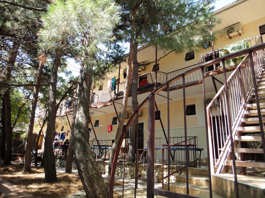 Фламинго (Орджоникидзе) - главное фото