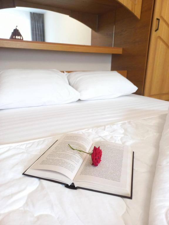 Апартаменты Живи в Центре - Живи как Дома - главное фото