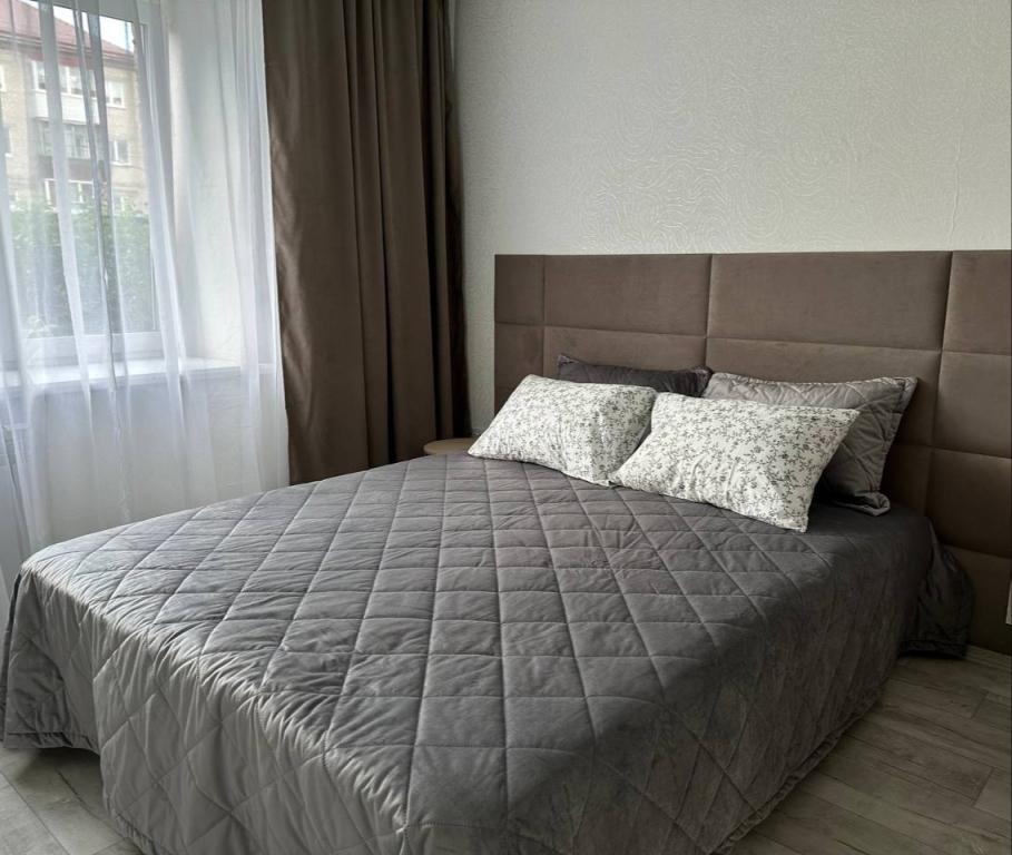 Квартира на Улице Суворова 38 - главное фото