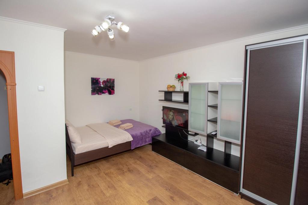 Квартира Комфортная рядом с ЭФКО - главное фото